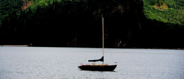 gemini_camping2011.png